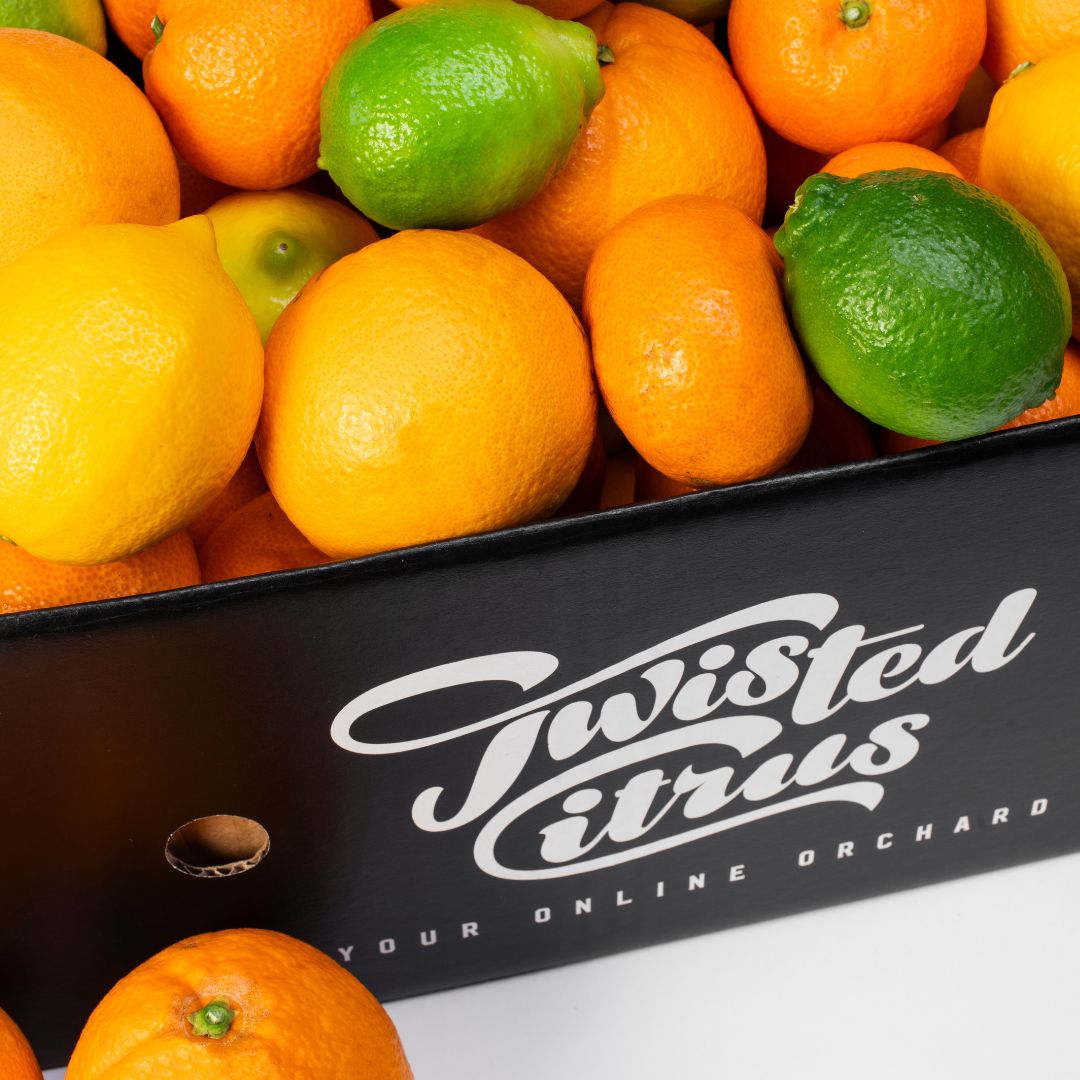 Buy Mixed Citrus Box Online NZ - Twisted Citrus